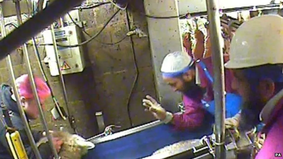 Workers handling a sheep on the kill line at Bowood Lamb abattoir